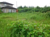 国富町（深年）