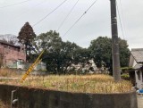 平和が丘西町