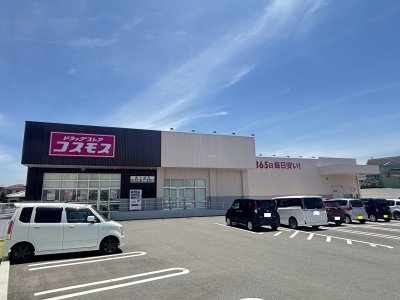 ドラッグストアコスモス城ケ崎店