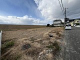 高洲町(１号地)